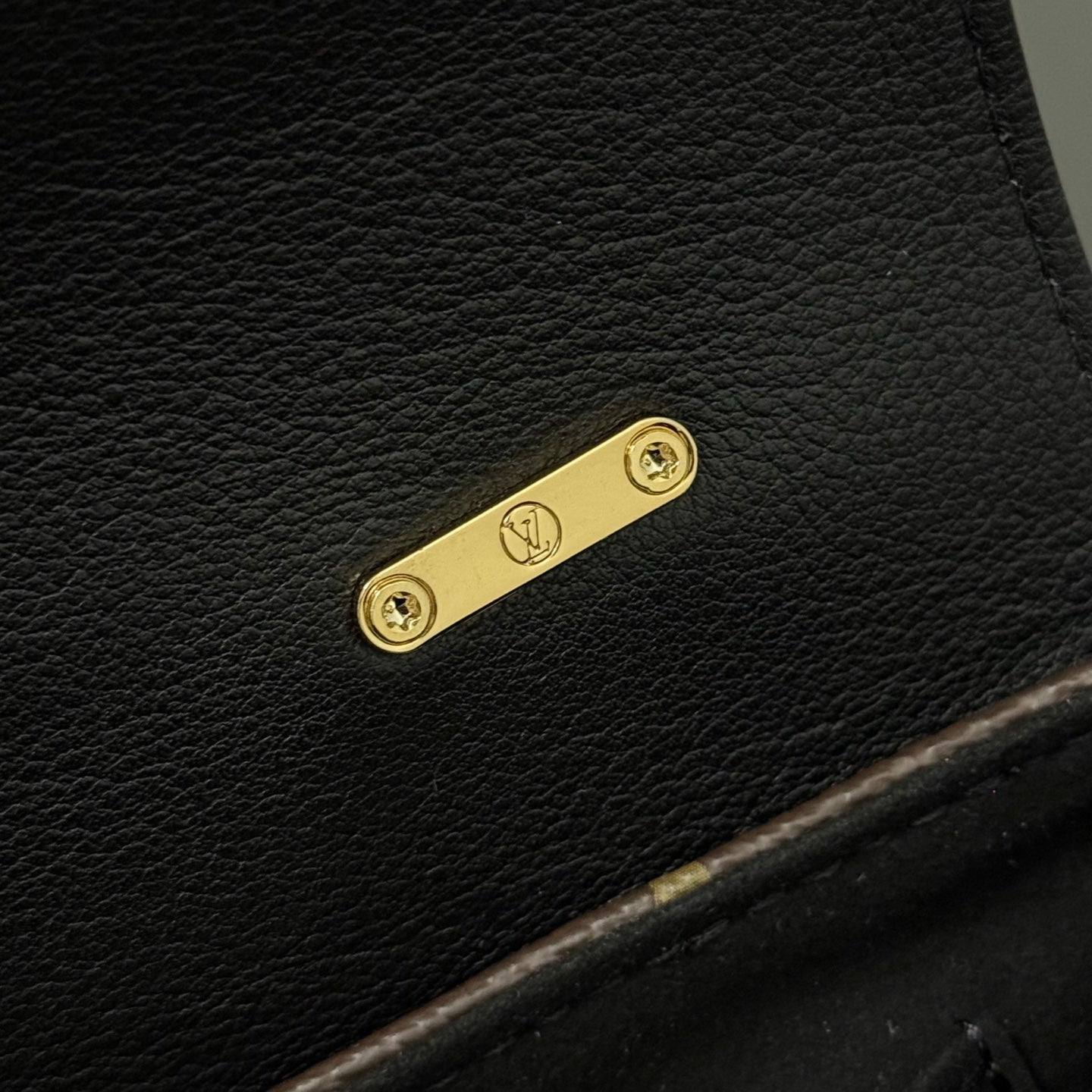 LV bag