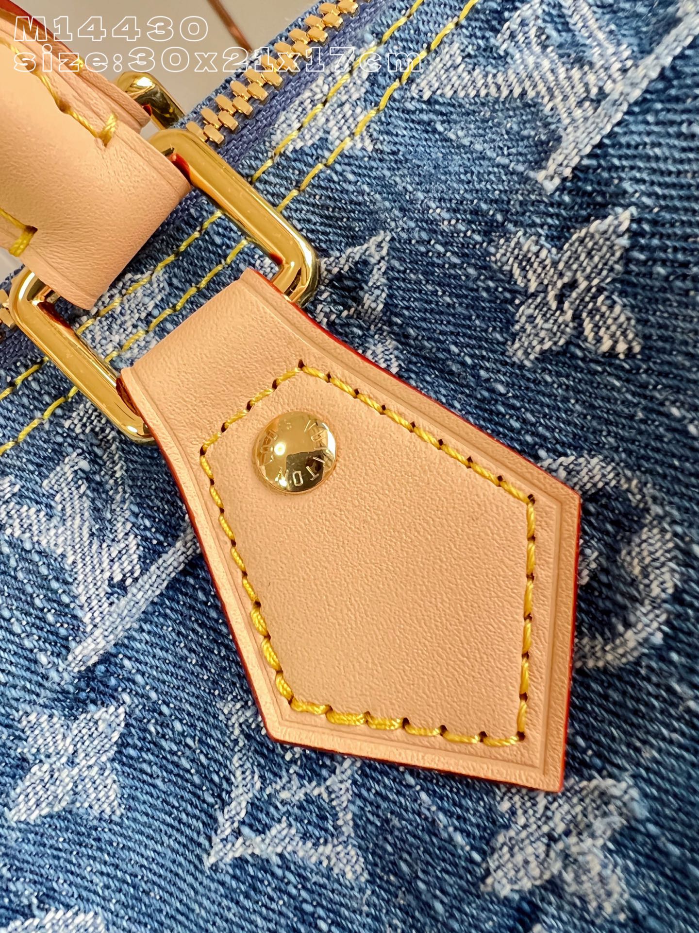 LV bag