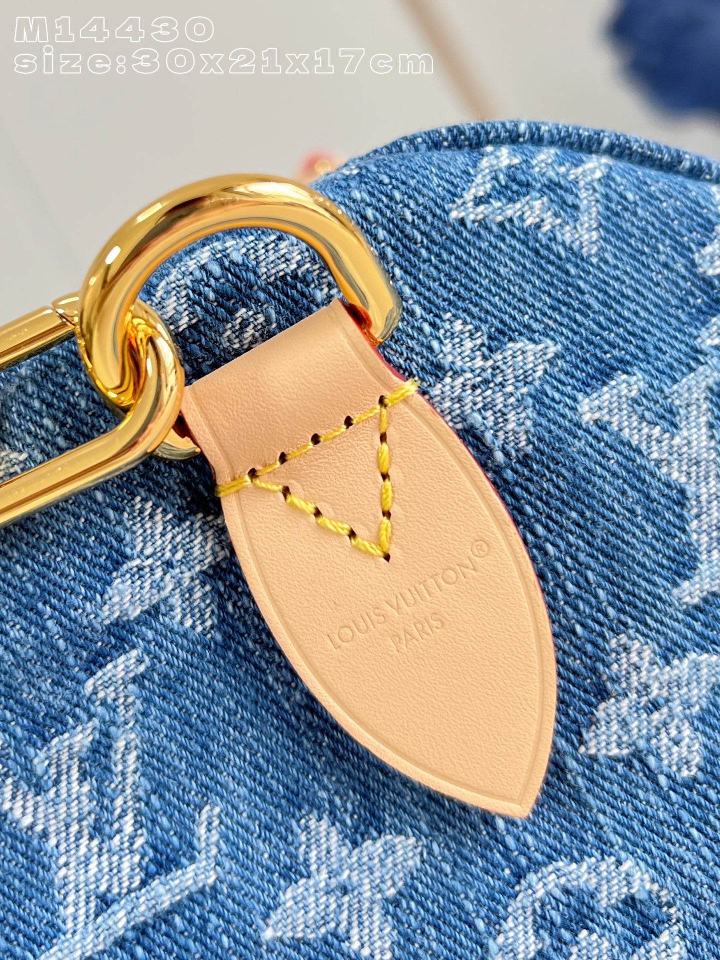 LV bag