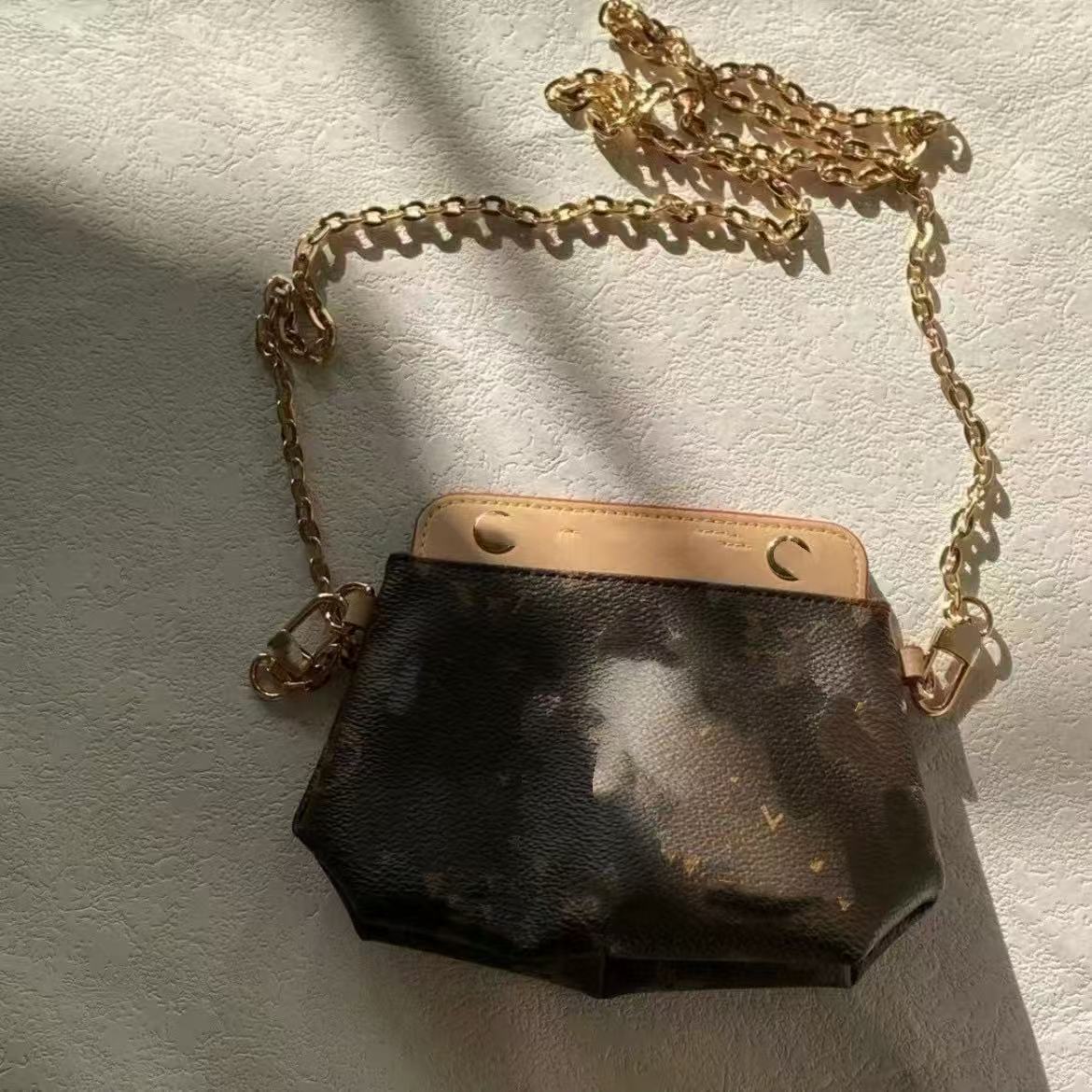 LV Mini bag